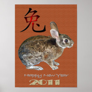 Rabbit  Year 2011 Poster