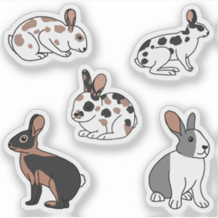 Rabbits