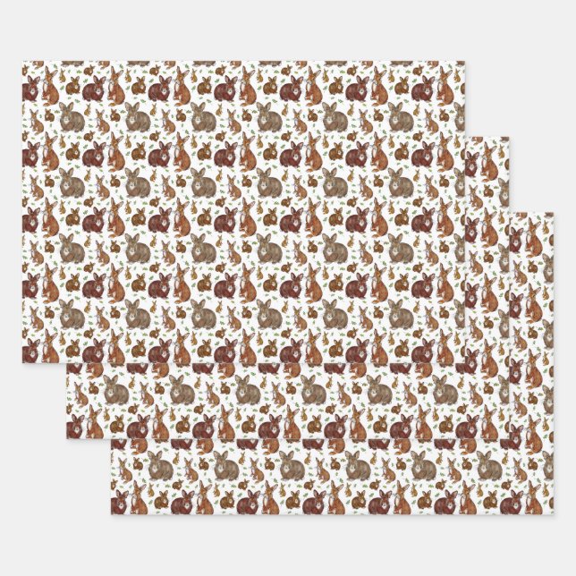 Rabbits and Bunnies Wrapping Paper for Easter  (Set)