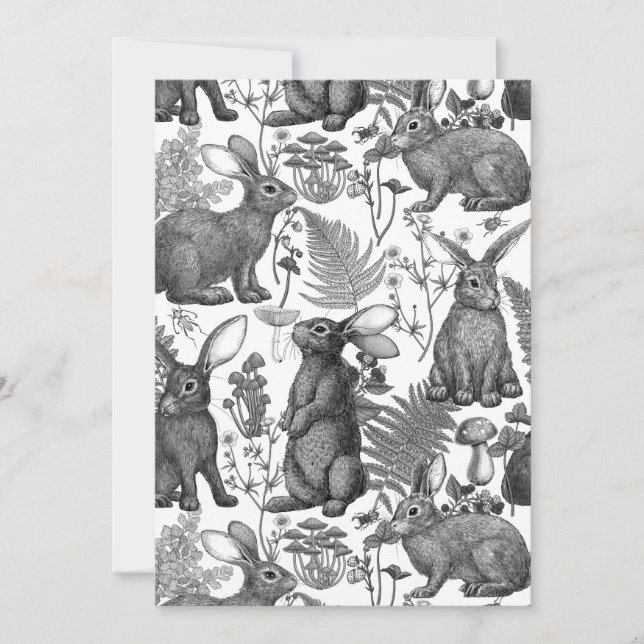 Rabbits and woodland flora (Front)