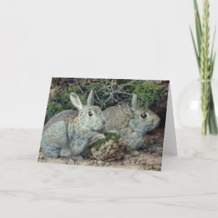 Rabbits Holiday Card