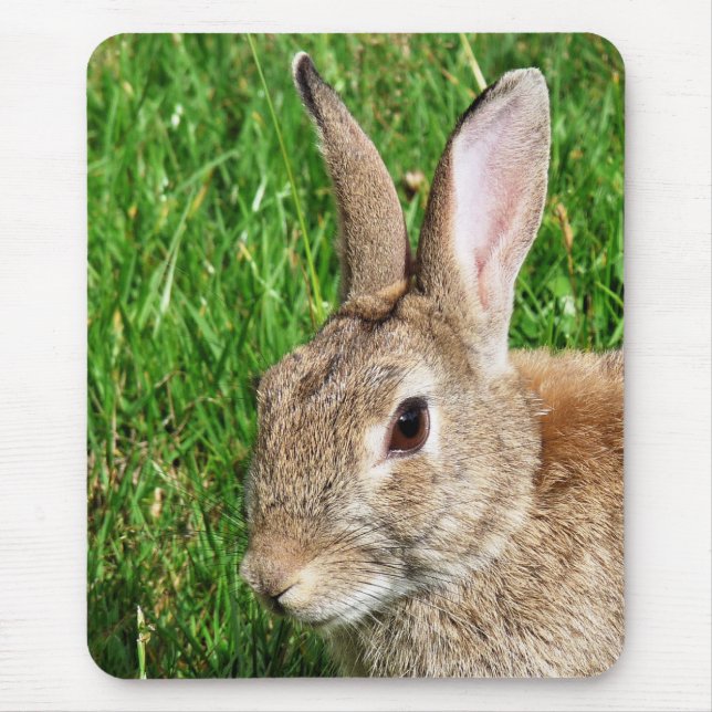 RABBITS MOUSE MAT (Front)