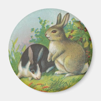 Rabbits of the Green Meadows Magnet