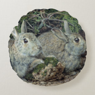 Rabbits Round Cushion