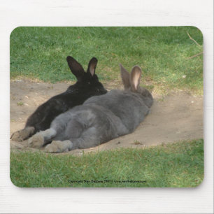 Rabbits stretched out - Mousemat. Customise. Mouse Mat