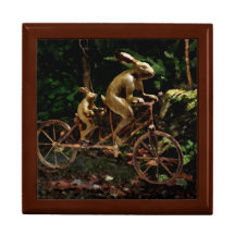 Rabbits Tandem Bicycle Race