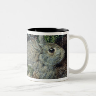 Rabbits Two-Tone Coffee Mug