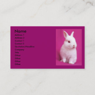 Rabbitt Business Card