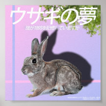 Rabbitwave 2.0 Poster