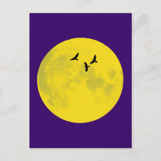 Raben Mond raven moon Postcard