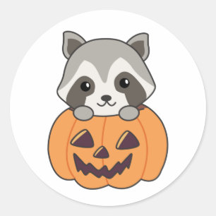 Raccin In Pumpkin Sweet Racoon Happy Halloween Classic Round Sticker