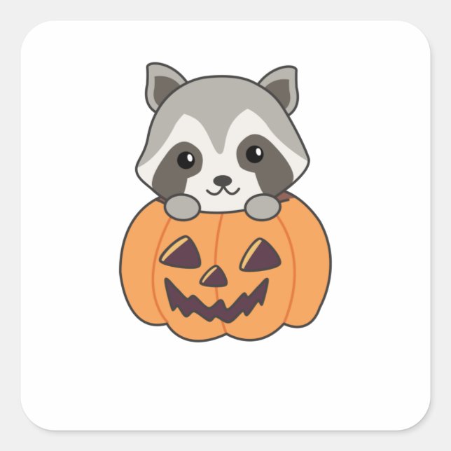Raccin In Pumpkin Sweet Racoon Happy Halloween Square Sticker (Front)