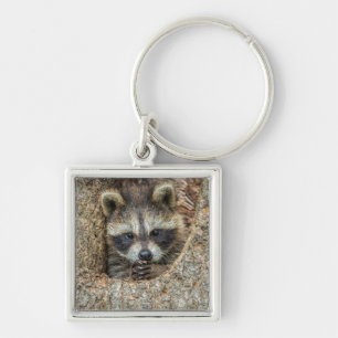 Raccon Nestled Inside a Tree Hollow Key Ring