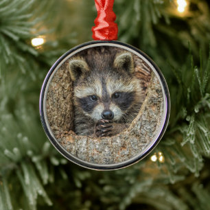 Raccon Nestled Inside a Tree Hollow Metal Tree Decoration