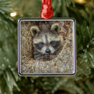 Raccon Nestled Inside a Tree Hollow Metal Tree Decoration