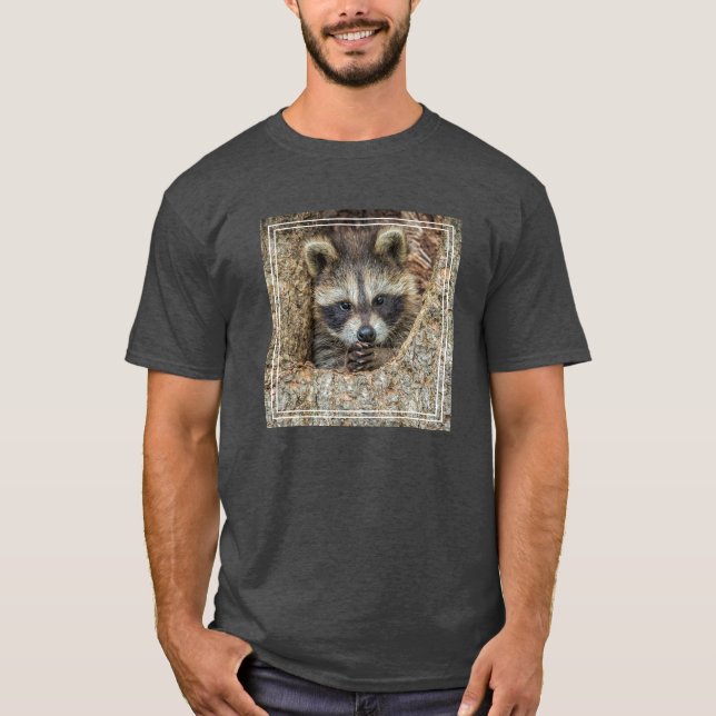 Raccon Nestled Inside a Tree Hollow T-Shirt (Front)