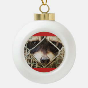 raccon on Ceramic Ball Ornament