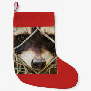 raccon on Christmas Stocking