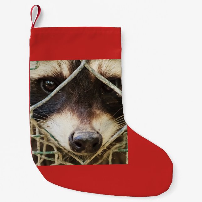 raccon  on Christmas Stocking (Front)