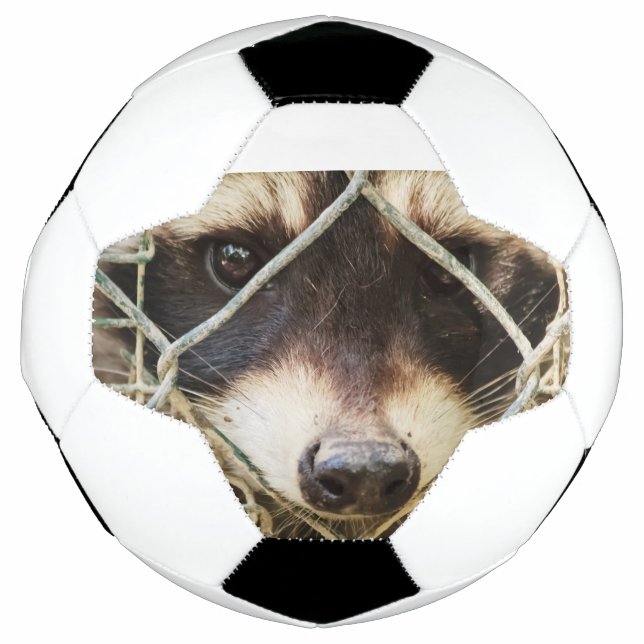 raccon on soccer ball (Front)