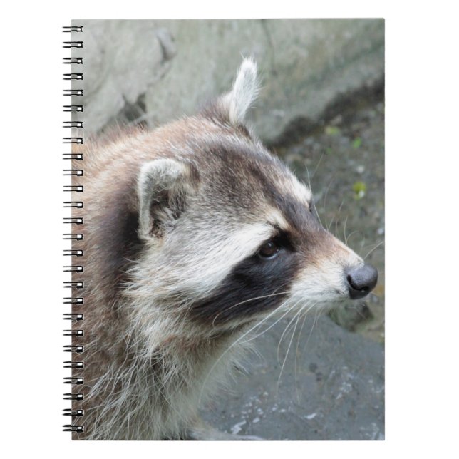 Raccoon_2015_0101 Notebook (Front)