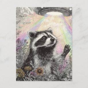 Raccoon and a UFO Postcard