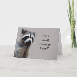 Raccoon Animal Humor Birthday Cake Fun Card