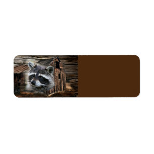 Raccoon At The Old Barn