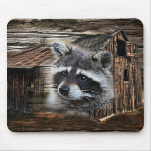 Raccoon At The Old Barn Mouse Mat