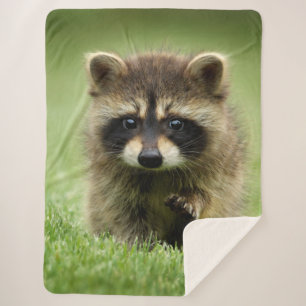RACCOON BABY SHERPA BLANKET