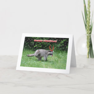 Raccoon Christmas Holiday Card