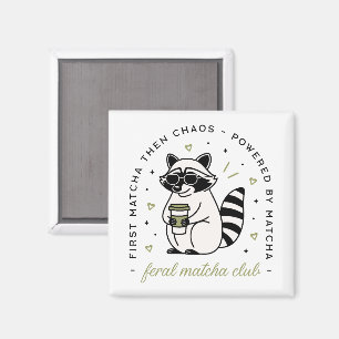 Raccoon drinking matcha club funny kawaii animal magnet