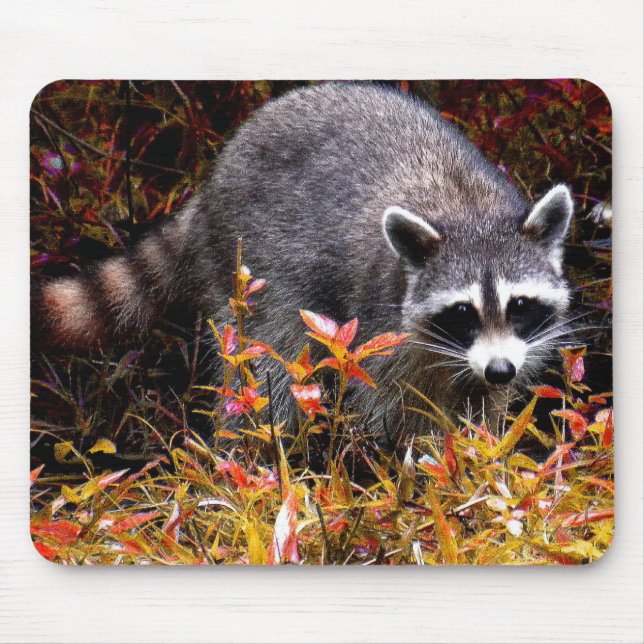 RACCOON IN AUTUMN MOUSE MAT (Front)