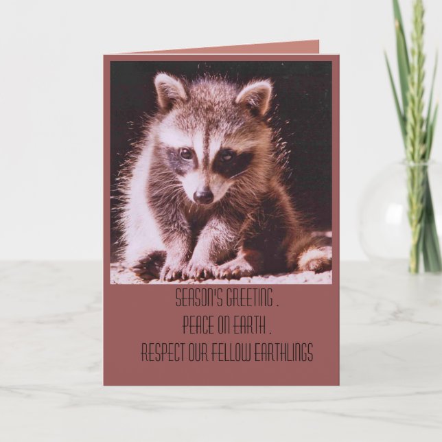 Raccoon Kit Christmas Greetings Holiday Card (Front)