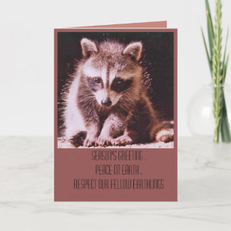 Raccoon Kit Christmas Greetings Holiday Card