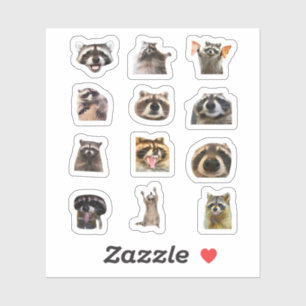 Raccoon Meme Funny Sticker Set Bundle