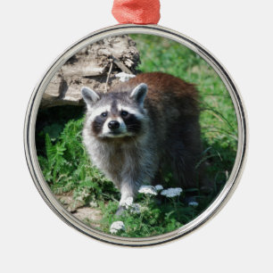 Raccoon Metal Tree Decoration