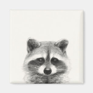Raccoon Pencil Drawing Magnet