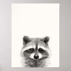 Raccoon Pencil Drawing Poster