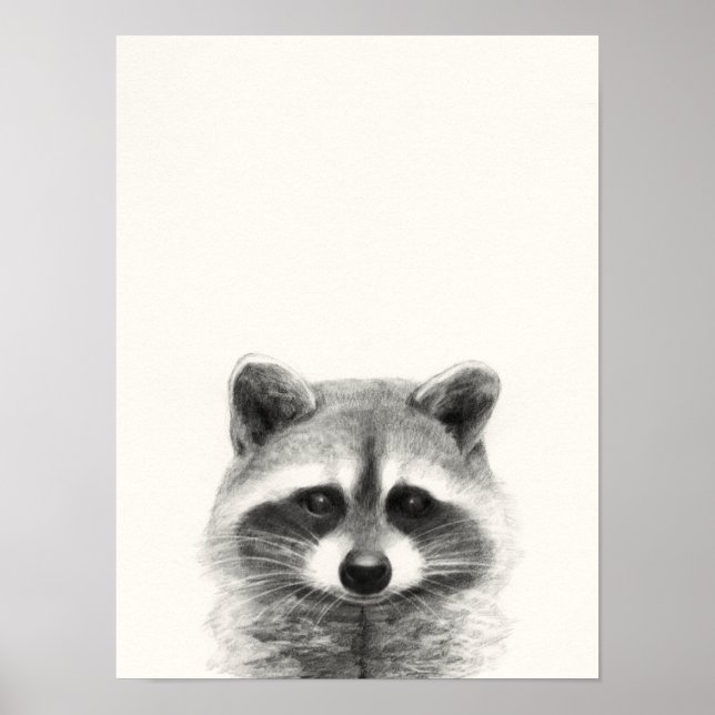Raccoon Pencil Drawing Poster (Front)