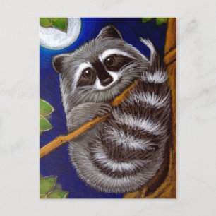 RACCOON Postcard