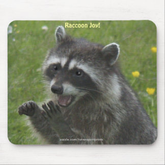 RACCOON WILDLIFE Happiness Mousepads