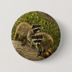 Raccoons 6 Cm Round Badge