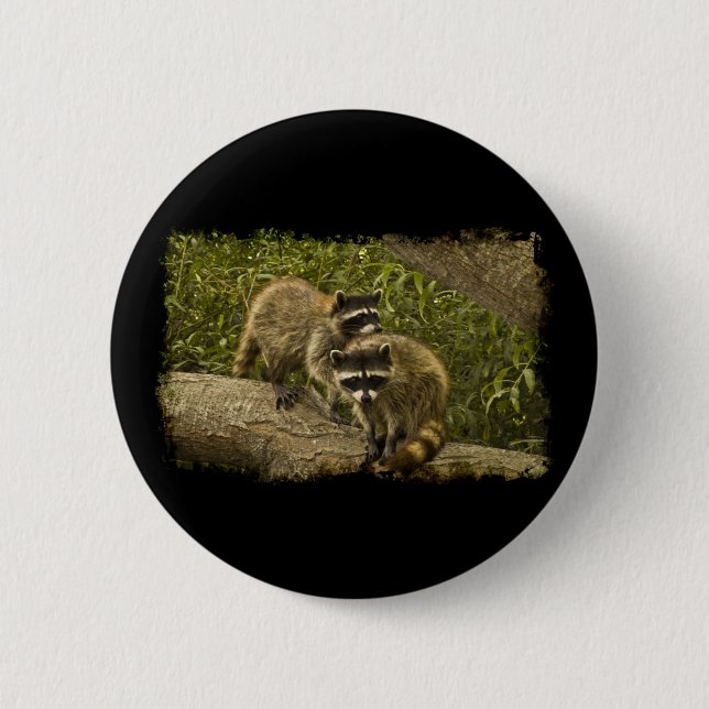 Raccoons 6 Cm Round Badge (Front)
