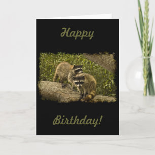 Raccoons Birthday Card