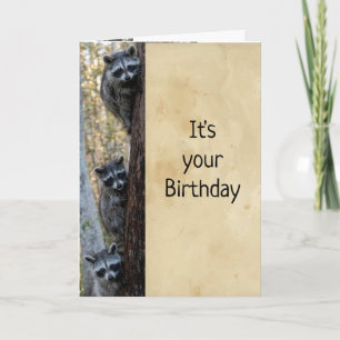 Raccoons & I Here to Wish Happy Birthday Humour Card