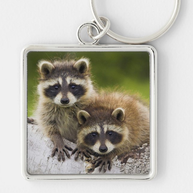 Raccoons Key Ring (Front)