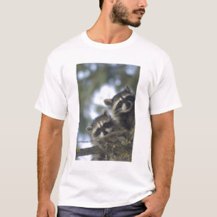 Raccoons Procyon Lotor) of Fish Lake, Central T-Shirt