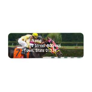 race-horse-8
