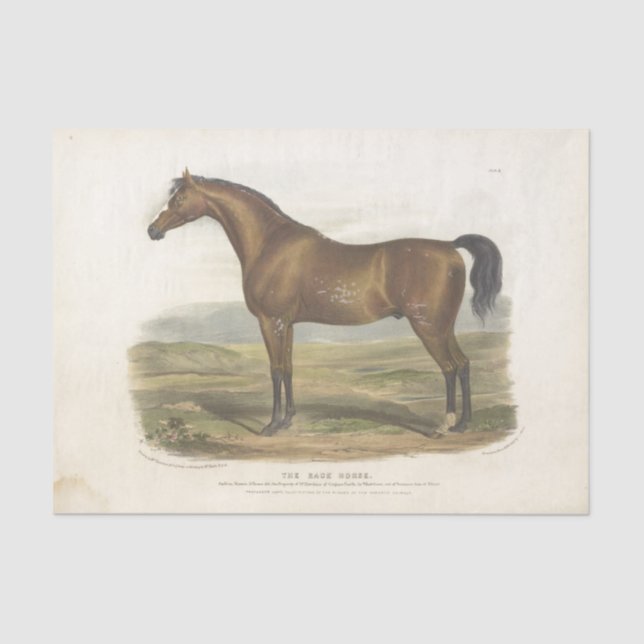 Race Horse Ephemera Decoupage Vintage  Tissue Paper (Front)